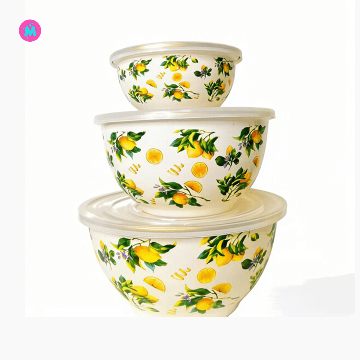 Enamel coating Preservation Bowl