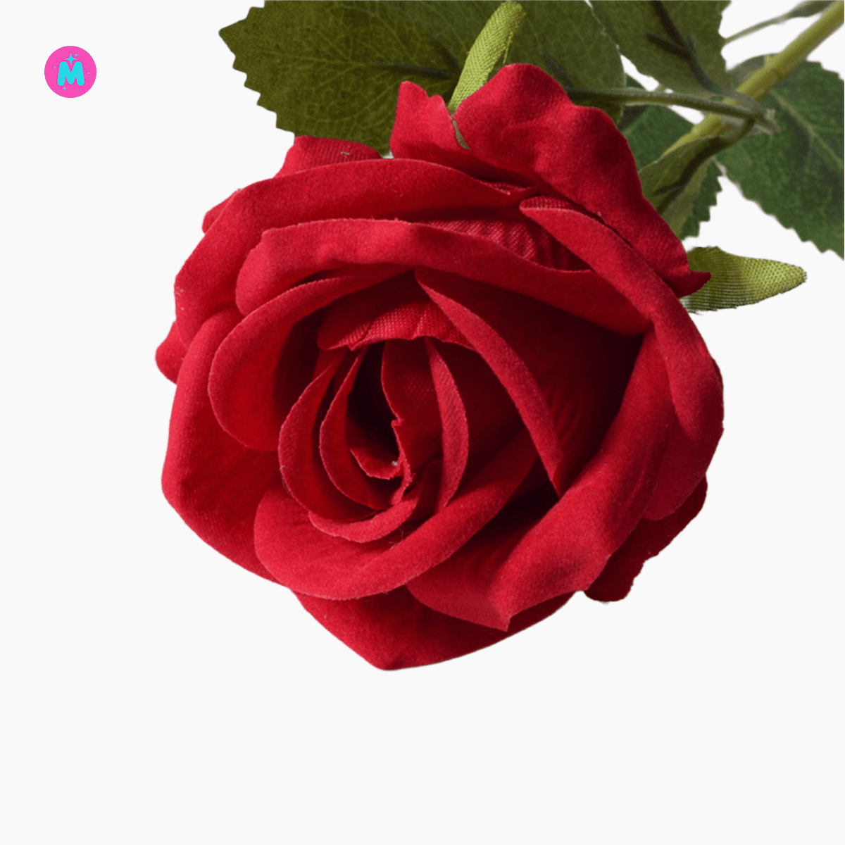Large Velvet  Roses